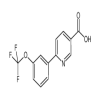 6-[3-(Trifluoromethoxy)phenyl]nicotinic Acid of picture