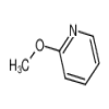 2-Methoxypyridine of picture